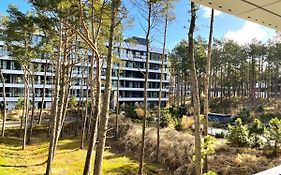 ApartamentyRogowo Com